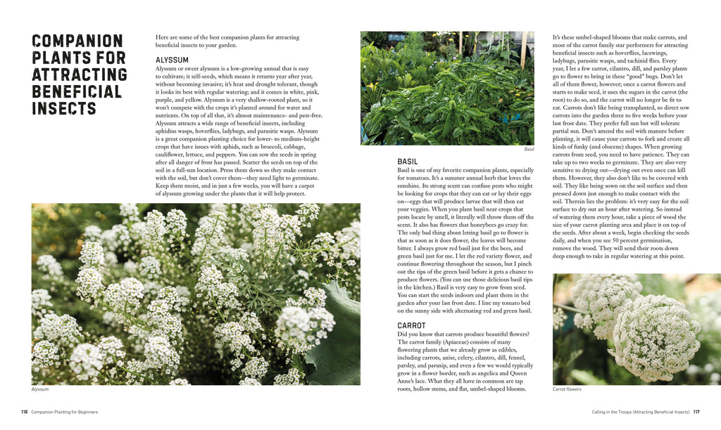 Companion Planting for Beginners-Spread, Image, (PRHC, Design, Do, Not, Use)-5