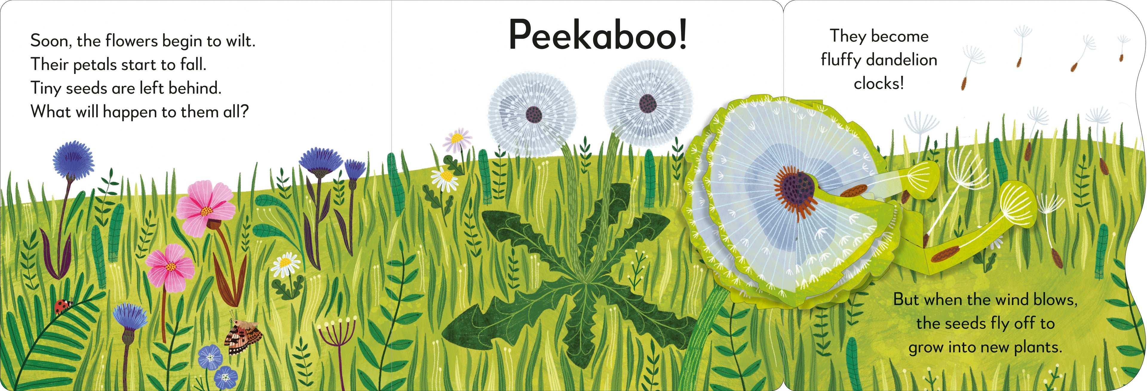 Pop-Up Peekaboo! Flower