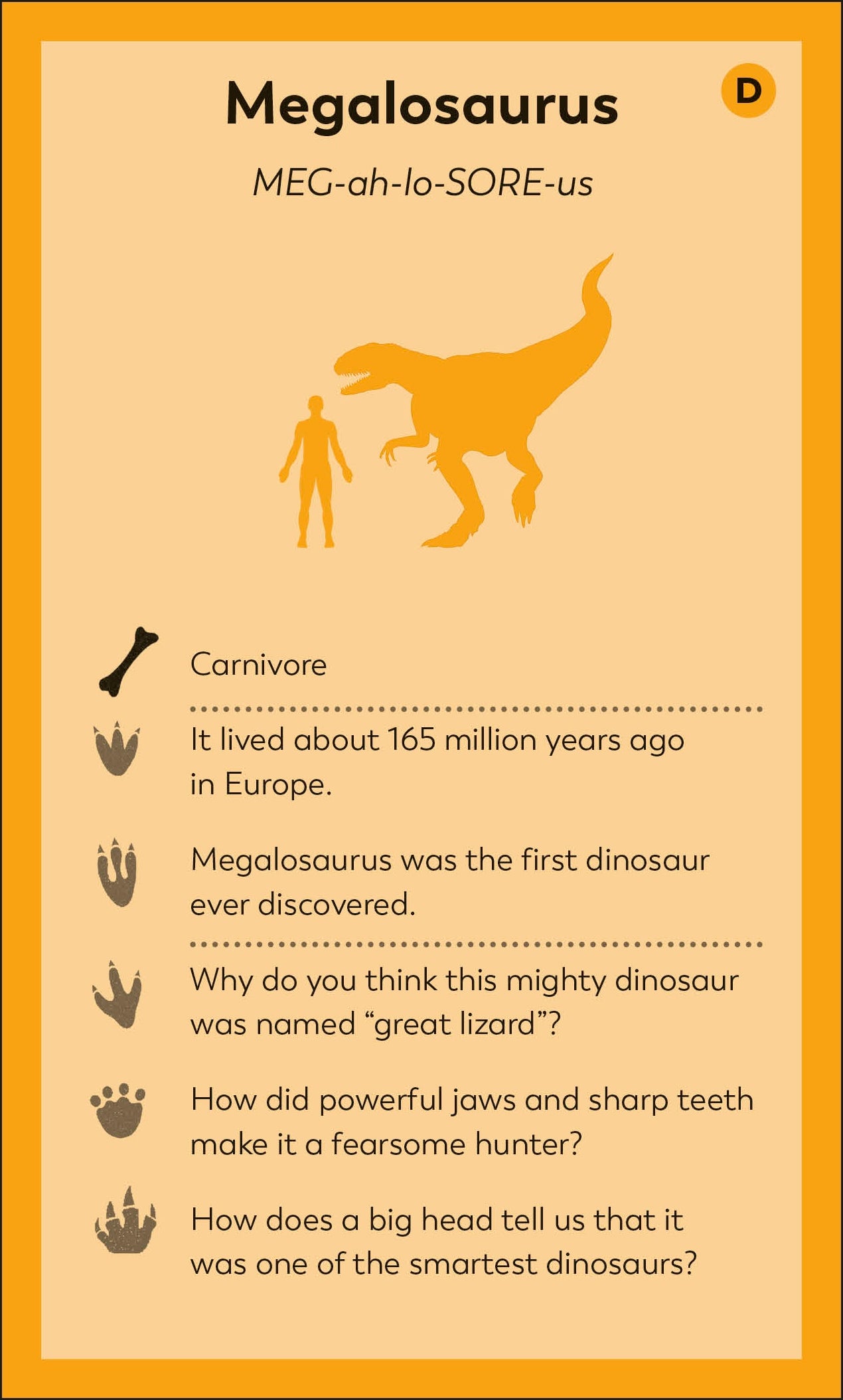 My First Dinosaur Flash Cards