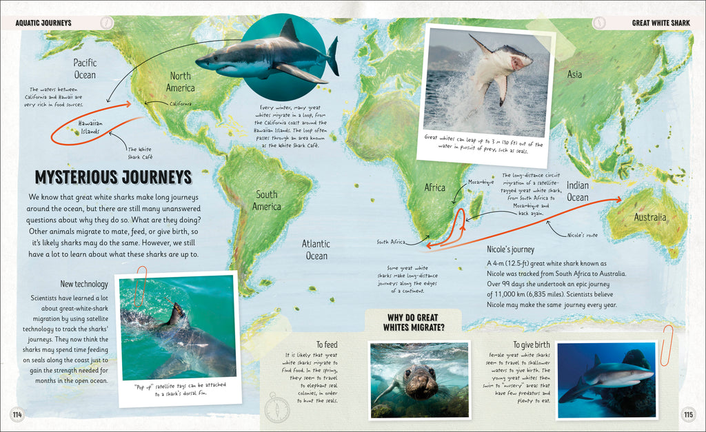 Amazing Animal Journeys