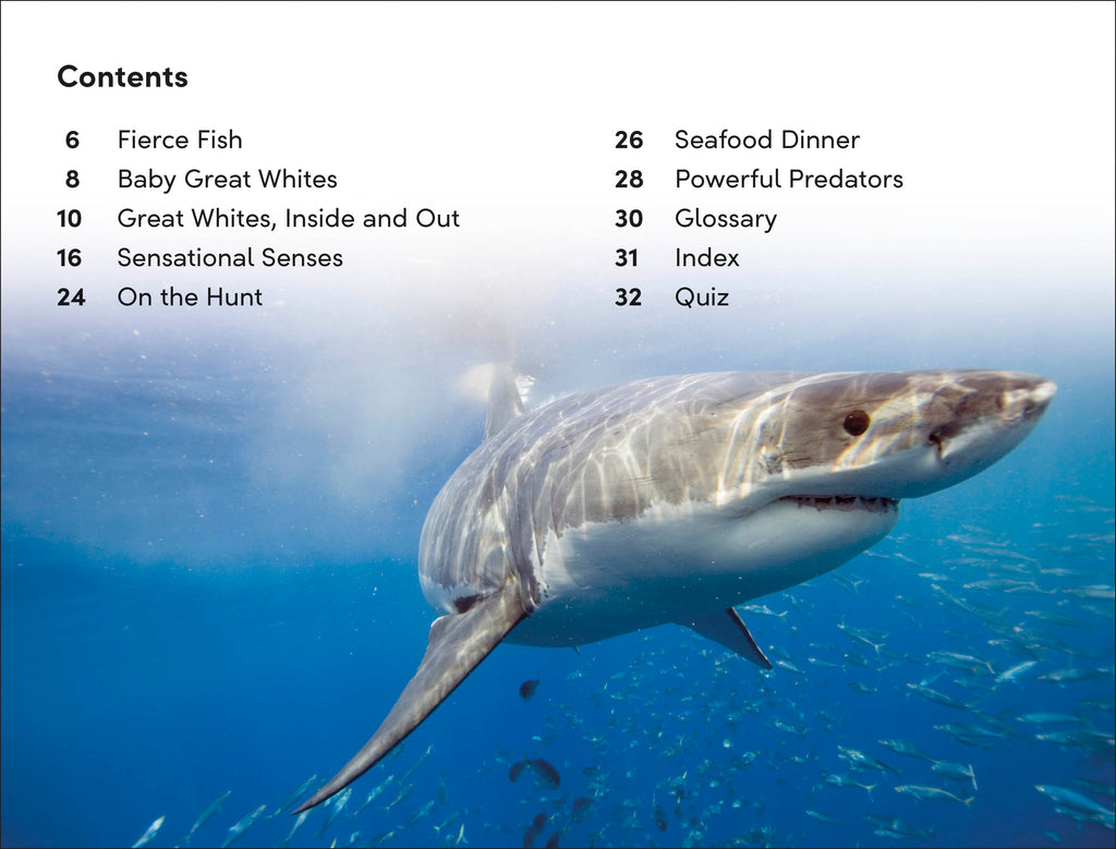 DK Super Readers Level 2 Great White Sharks