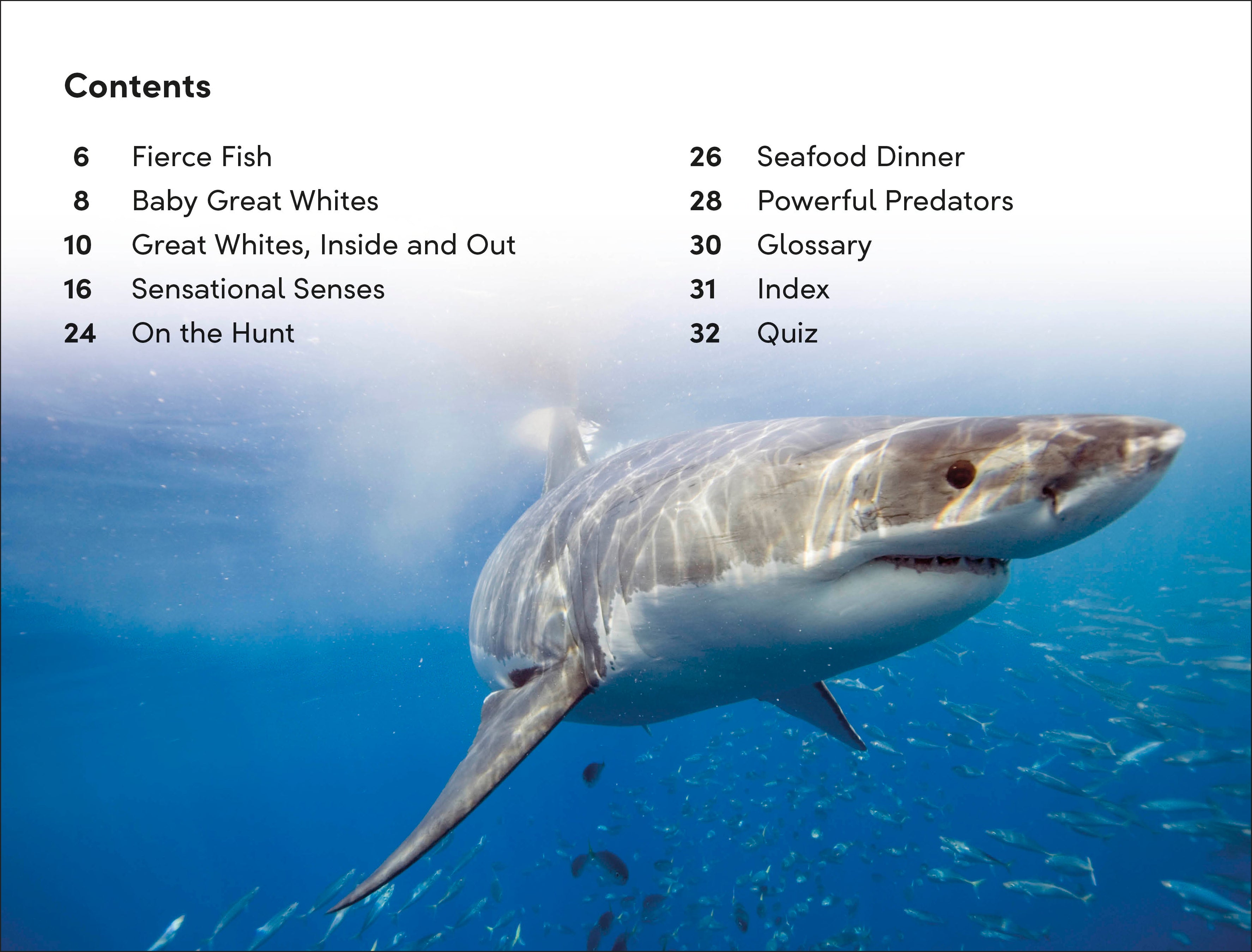 DK Super Readers Level 2 Great White Sharks