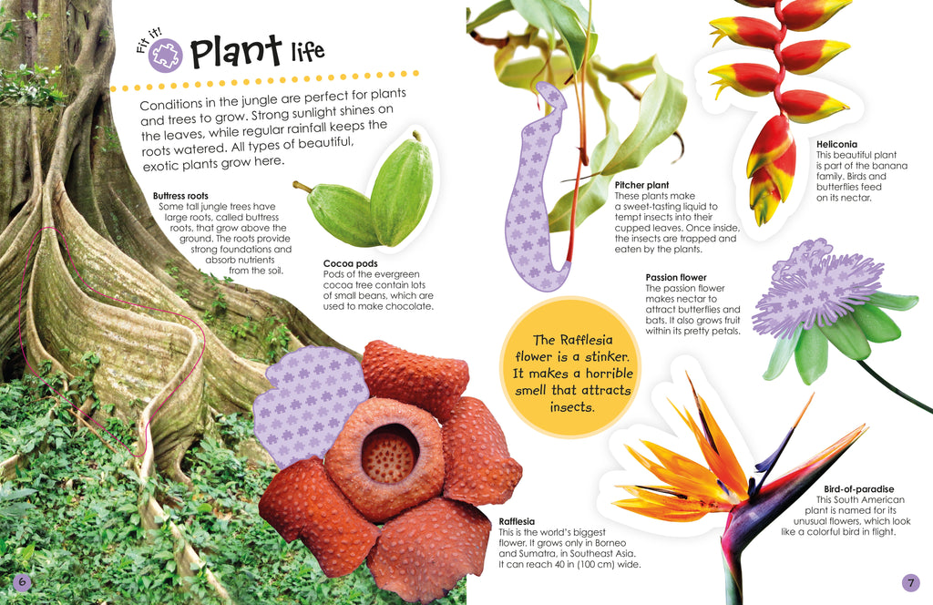 Ultimate Sticker Book: Jungle