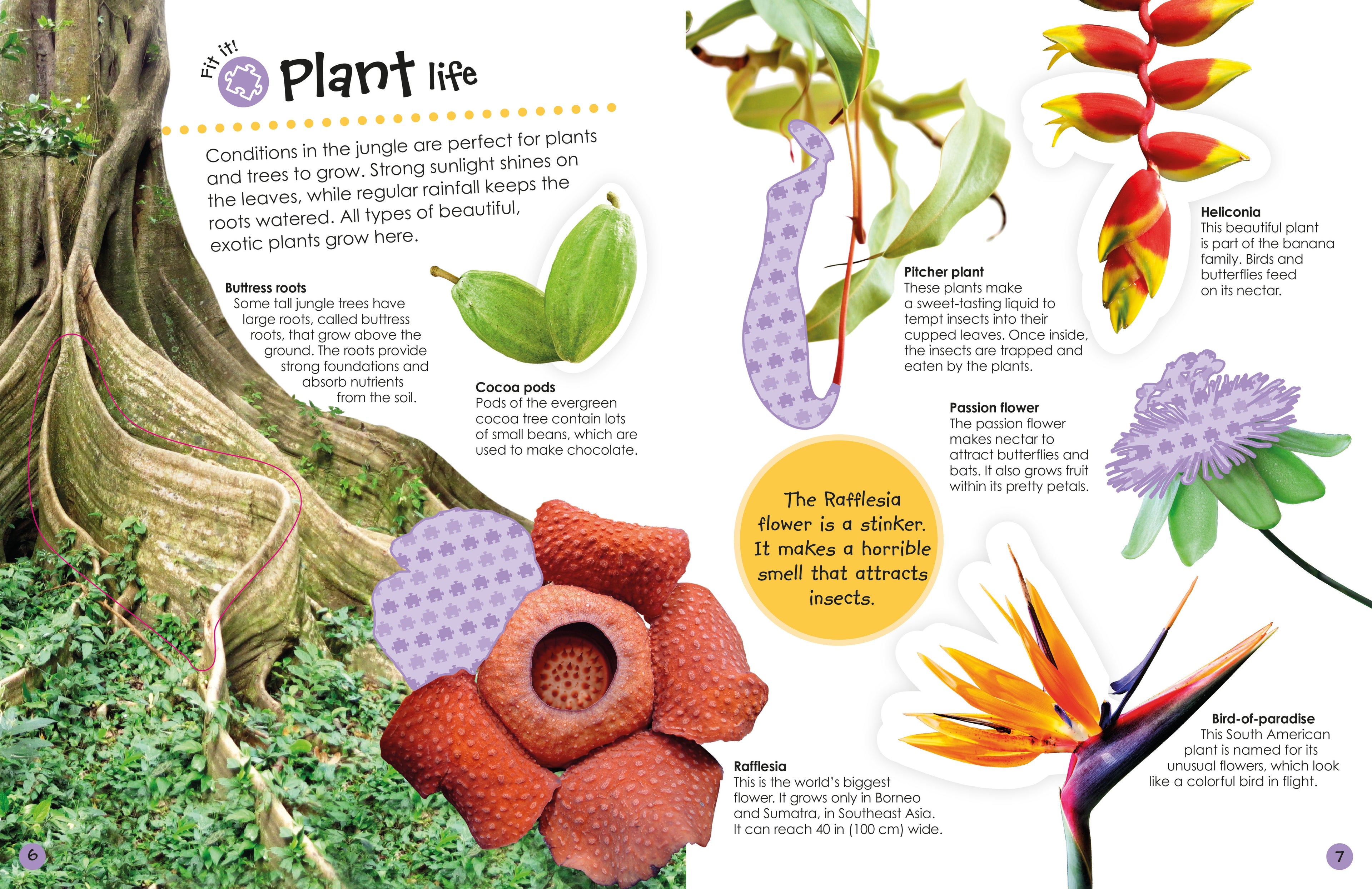 Ultimate Sticker Book: Jungle