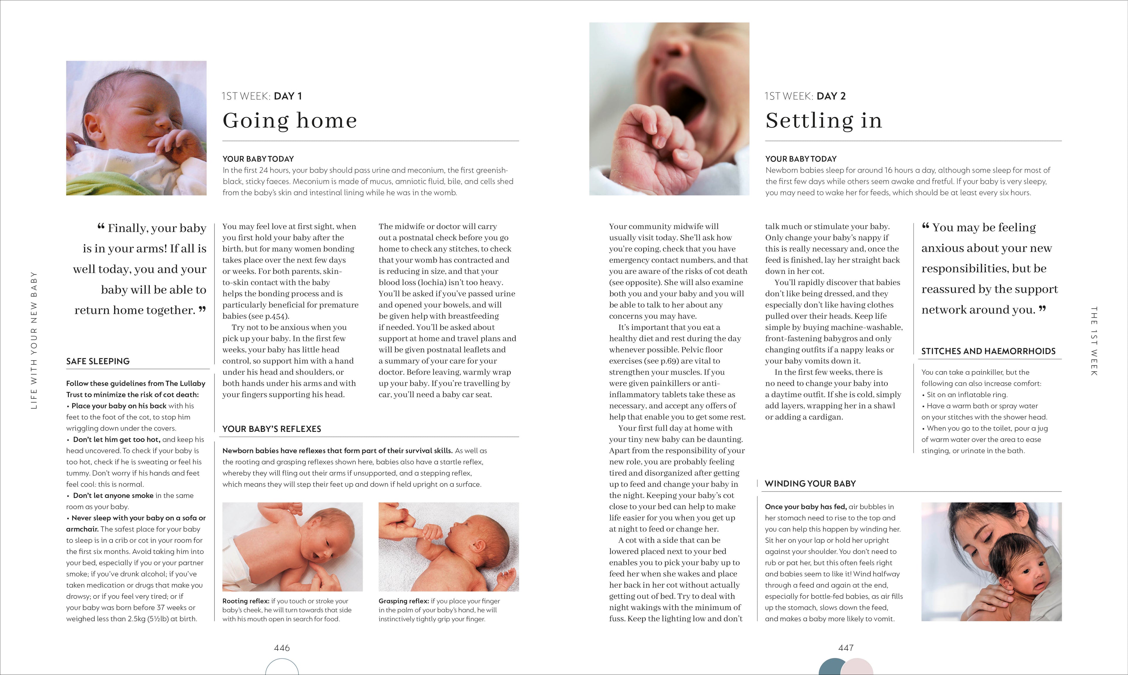 The Day-by-Day Pregnancy Book-spread image