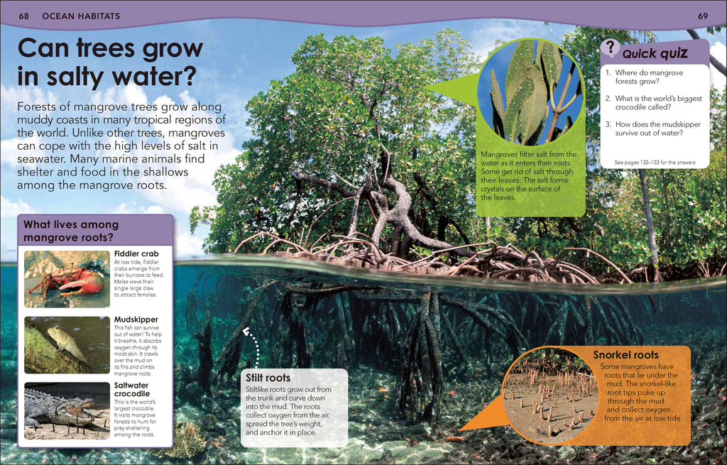 Did You Know? Ocean-Spread, Image, (PRHC, Design, Do, Not, Use)-2