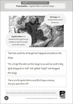 Phonic Books Mel on Mars Activities