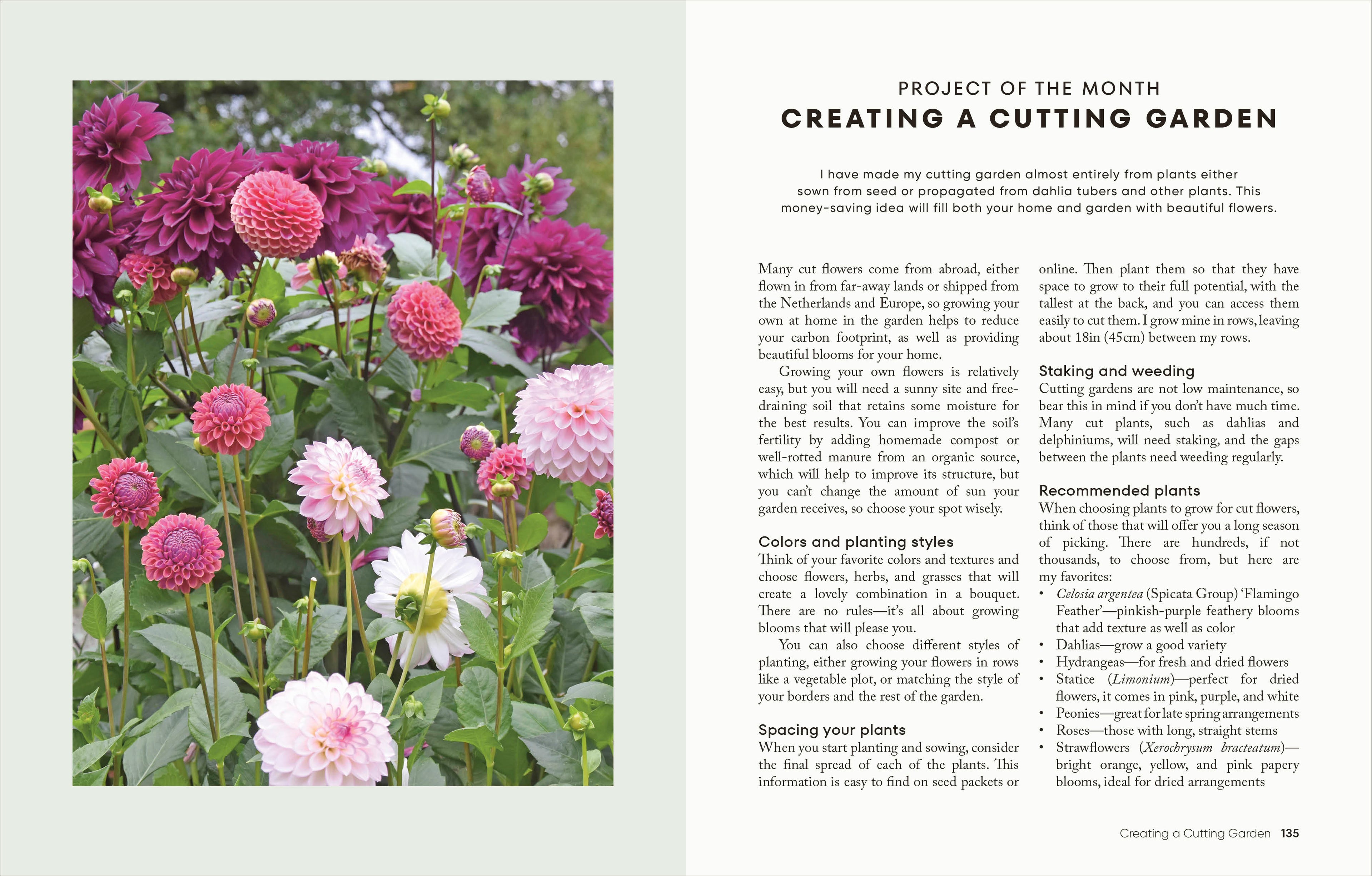 The Money-Saving Garden Year-Spread, Image, (PRHC, Design, Do, Not, Use)-6