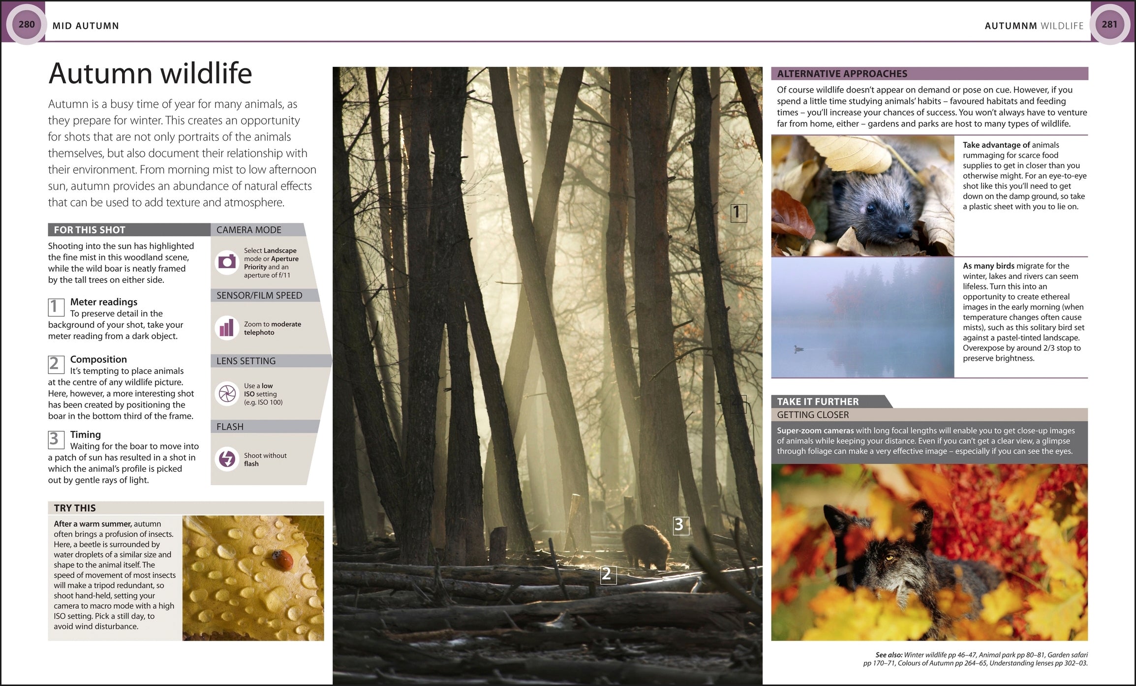 Digital Photography Month by Month