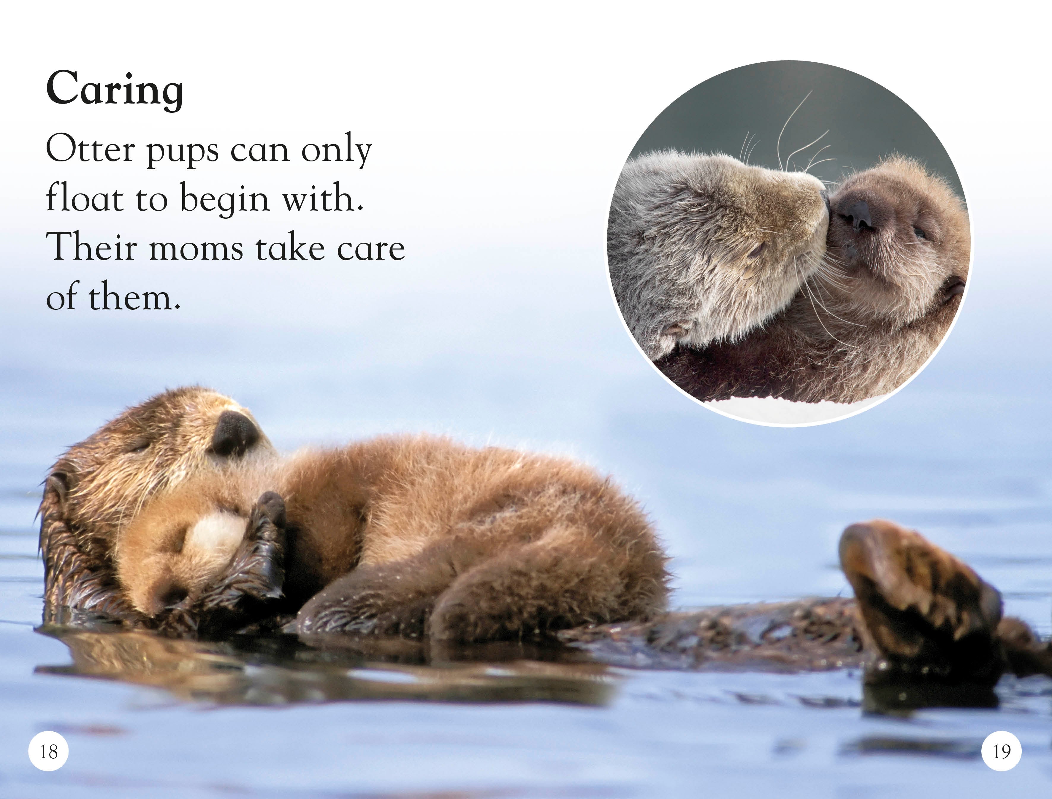 DK Readers L1: Sea Otters