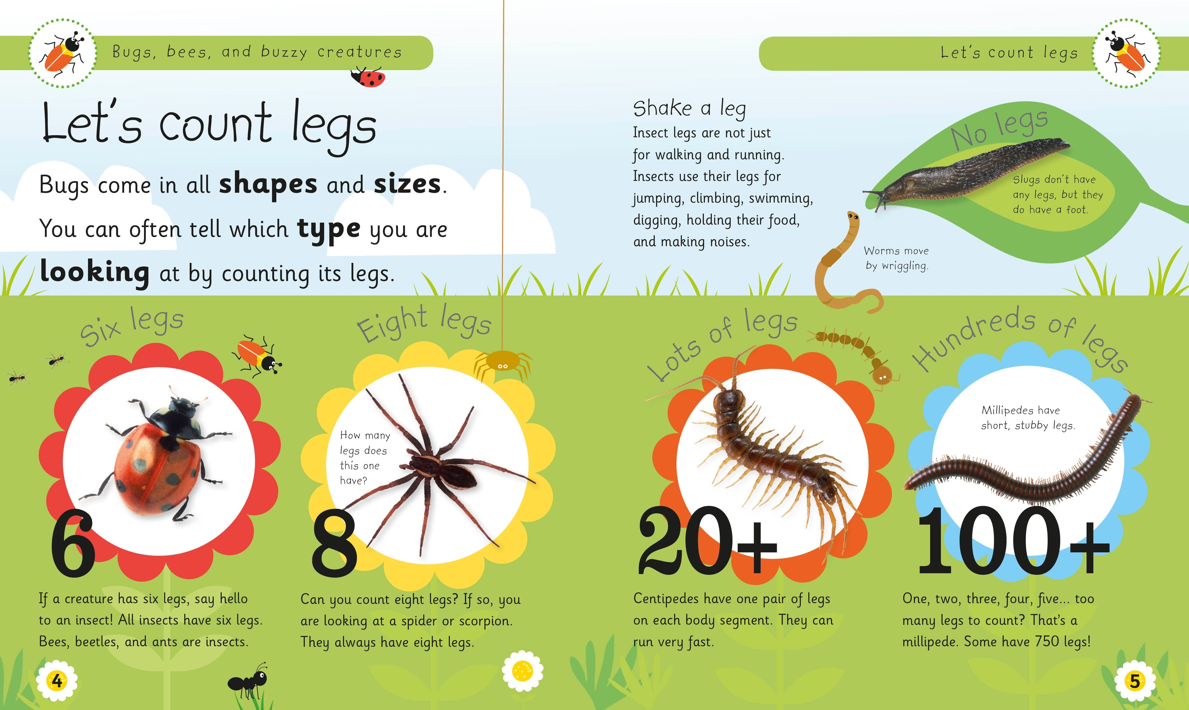 Bugs, Bees, and Other Buzzy Creatures