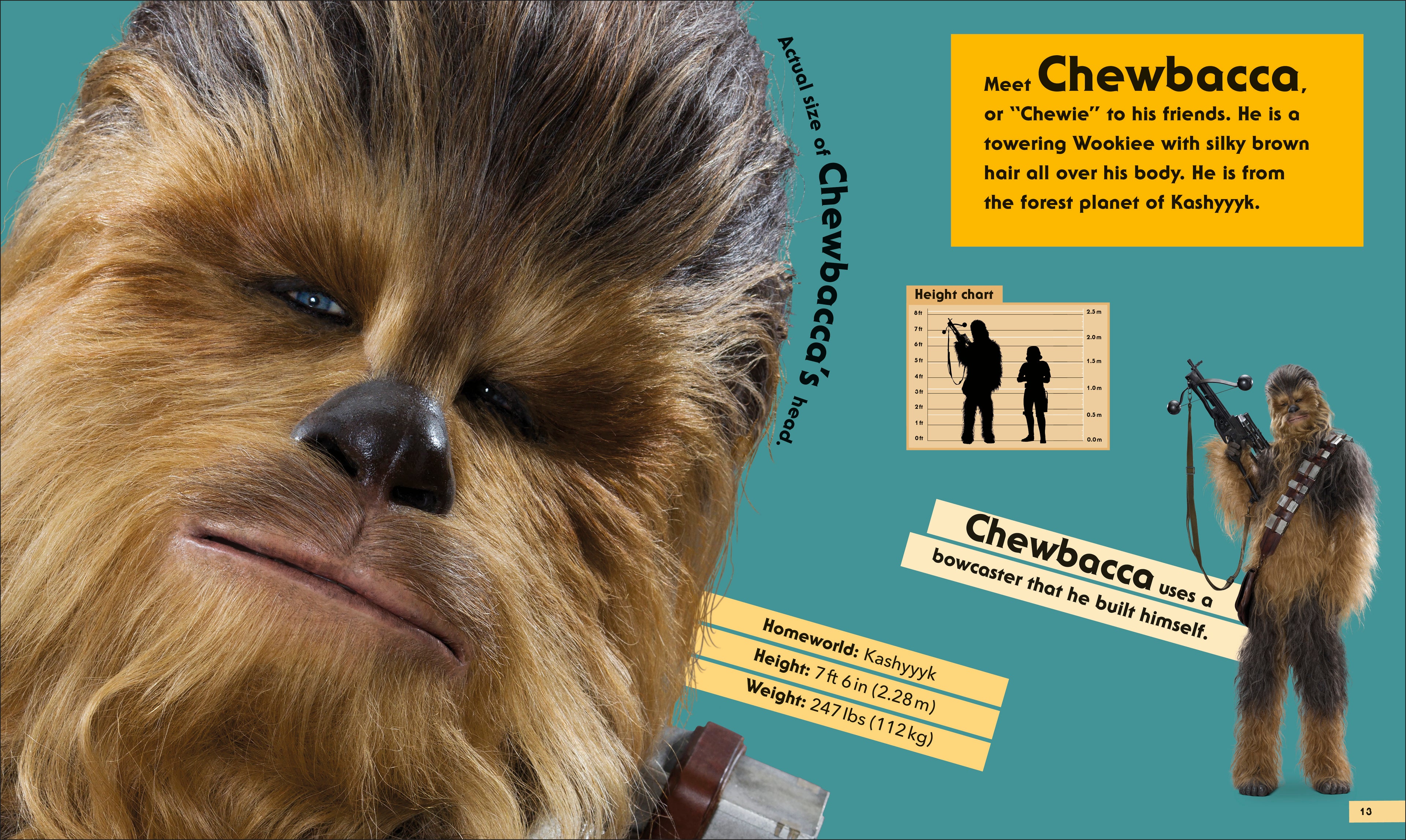 Star Wars Life Size-Spread, Image, (PRHC, Design, Do, Not, Use)-3