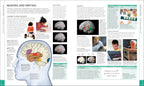 The Brain Book