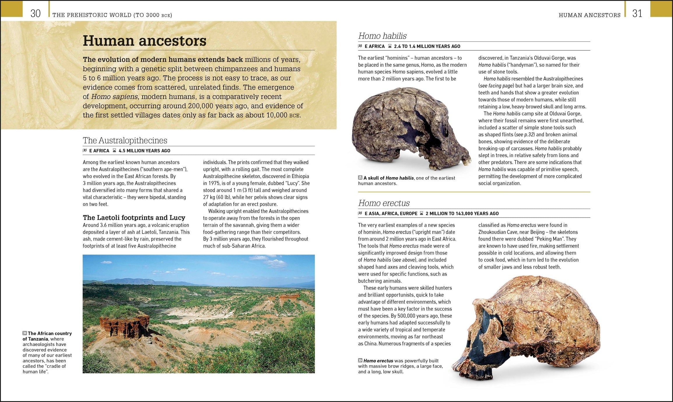 World History – DK