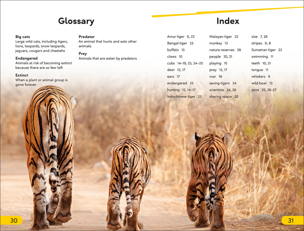 DK Super Readers Level 2 Save the Tigers