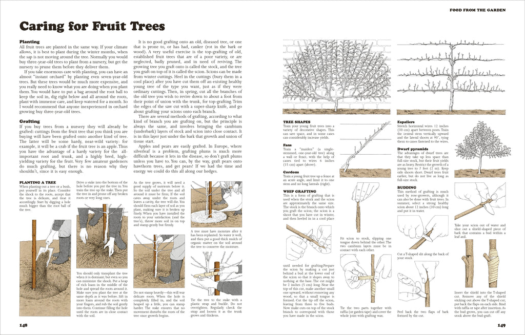 The Self-Sufficient Life and How to Live It-image