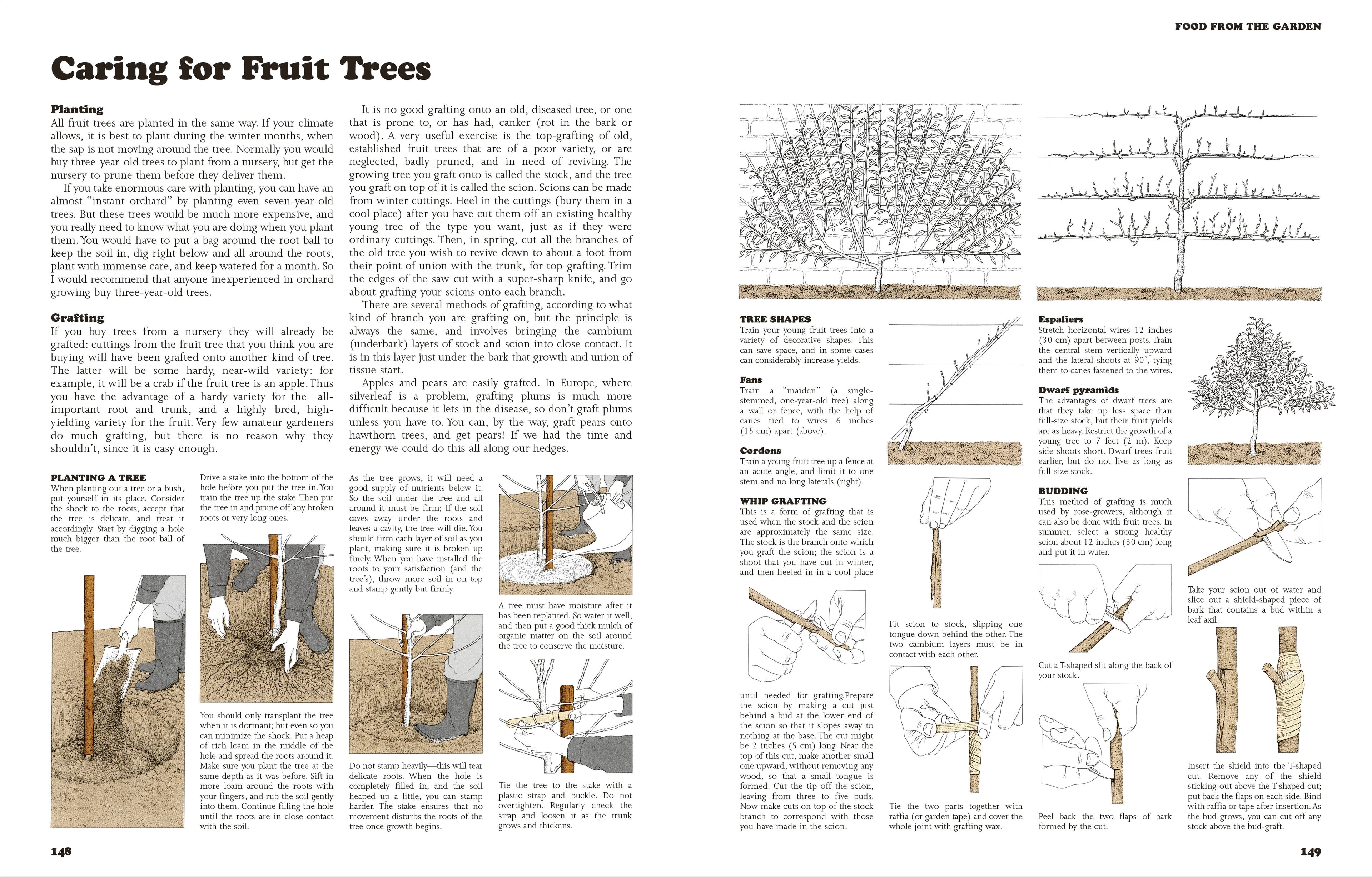 The Self-Sufficient Life and How to Live It-image
