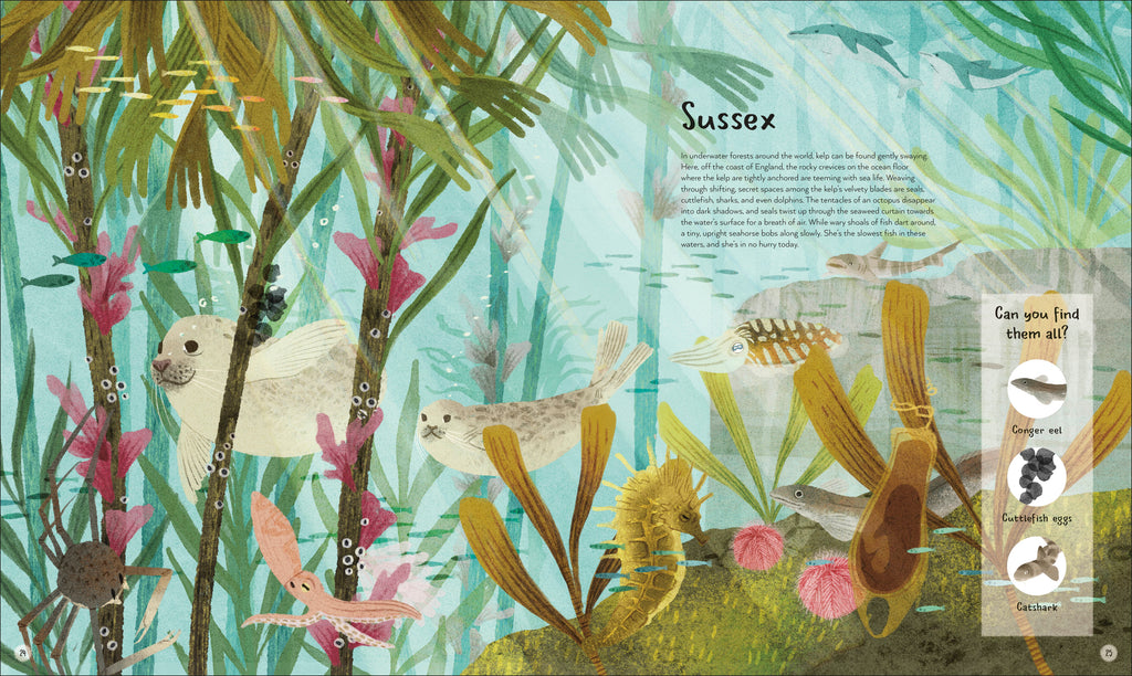 The World's Wildest Waters