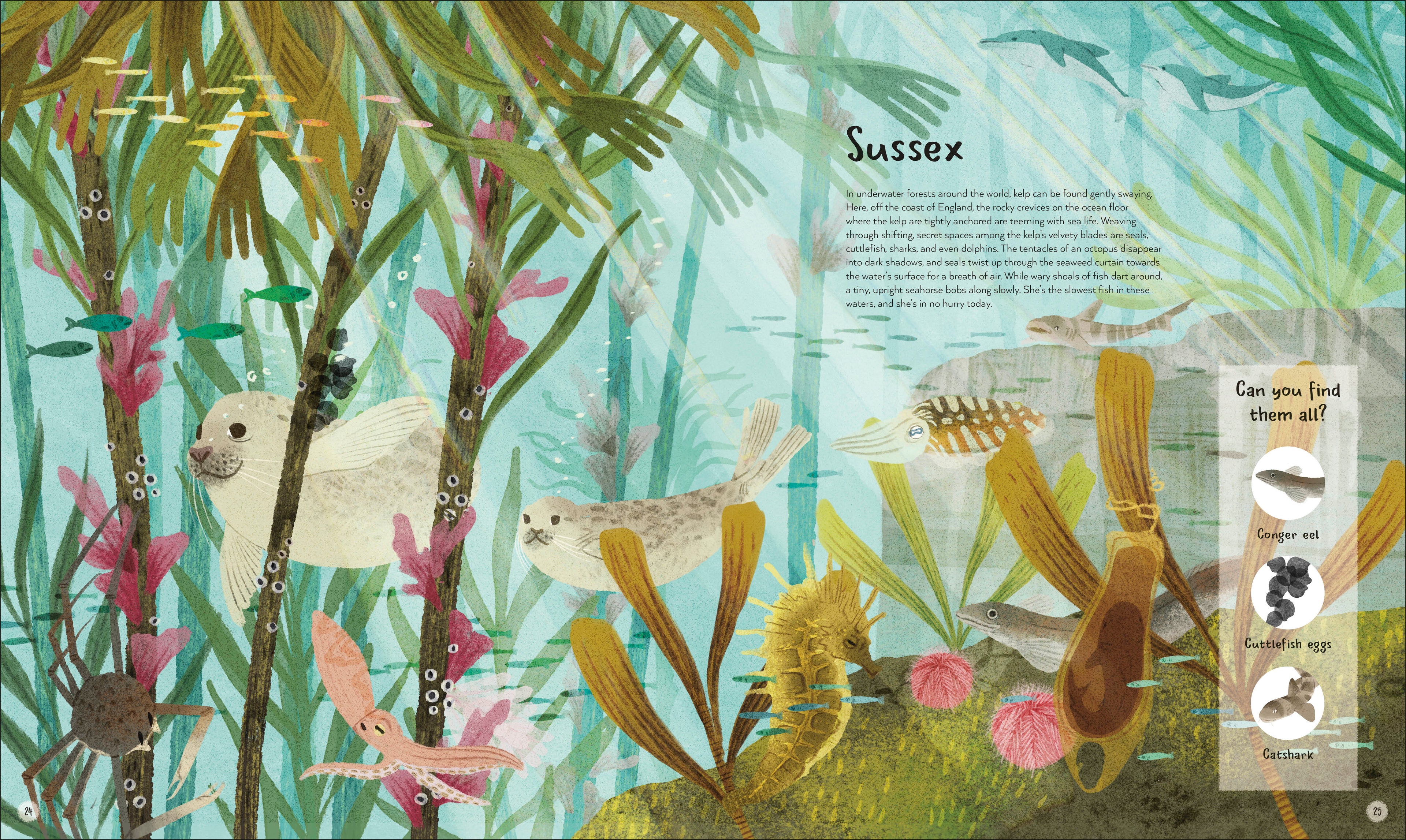 The World's Wildest Waters