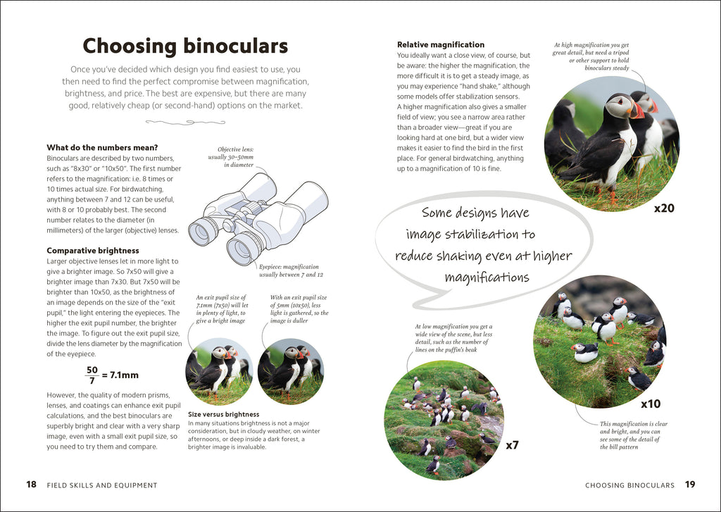 Birdwatching Guide-Spread, Image, (PRHC, Design, Do, Not, Use)-1