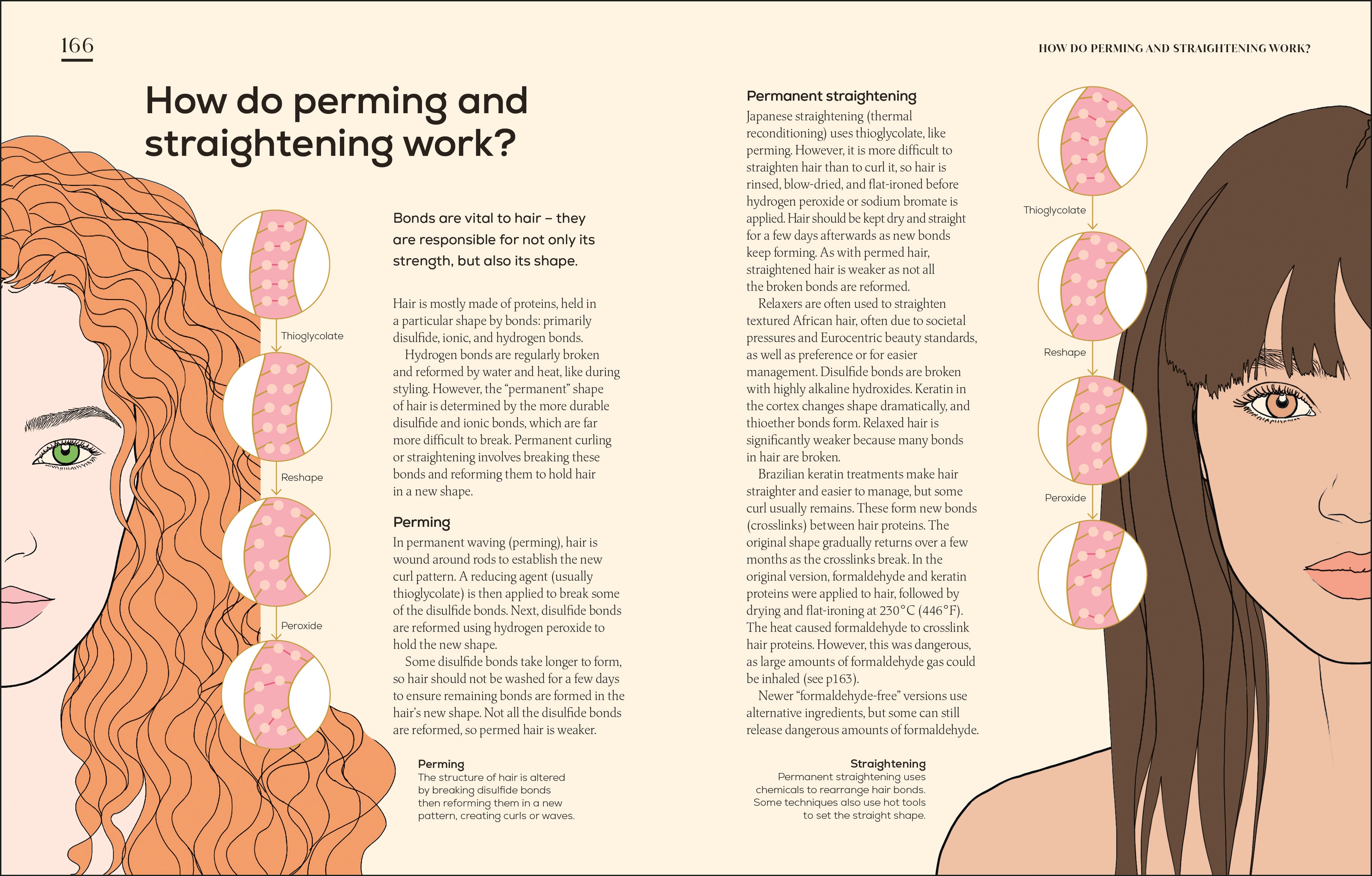 The Science of Beauty-Spread, Image, (PRHC, Design, Do, Not, Use)-4