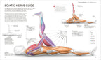 Science of Stretch-image
