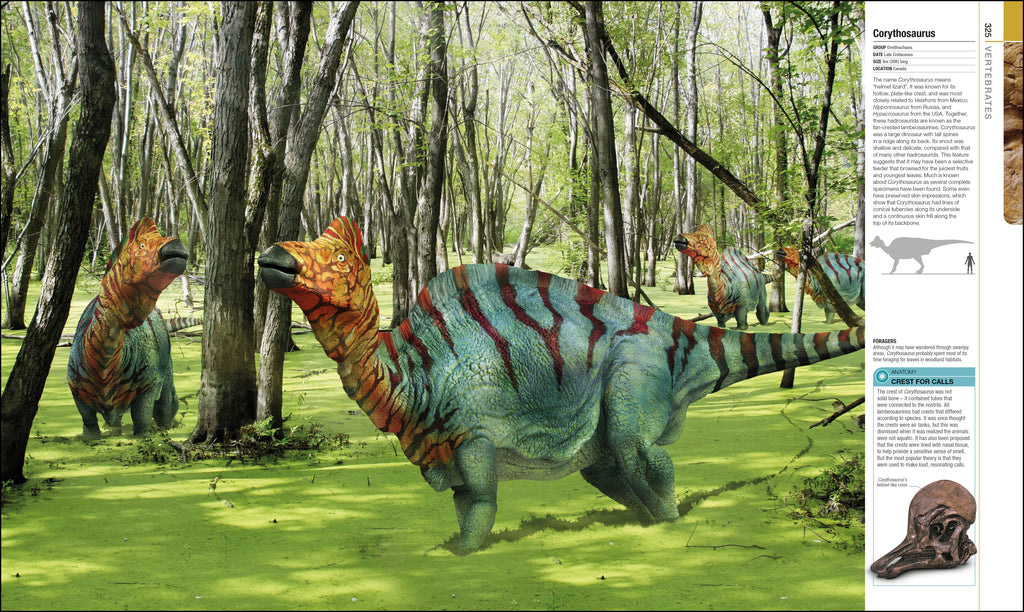 Dinosaurs and Prehistoric Life