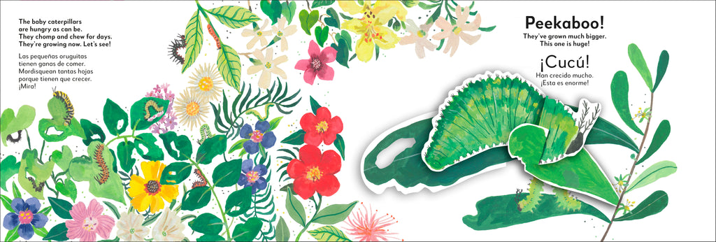 Bilingual Pop-Up Peekaboo! Butterfly - La mariposa-image