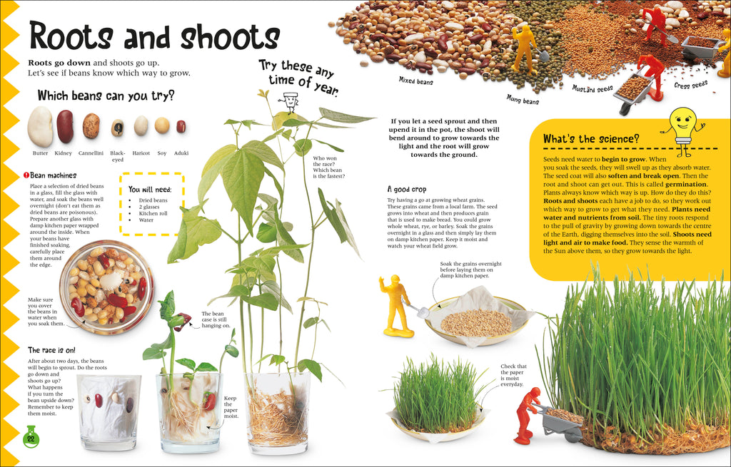 The Simple Science Activity Book