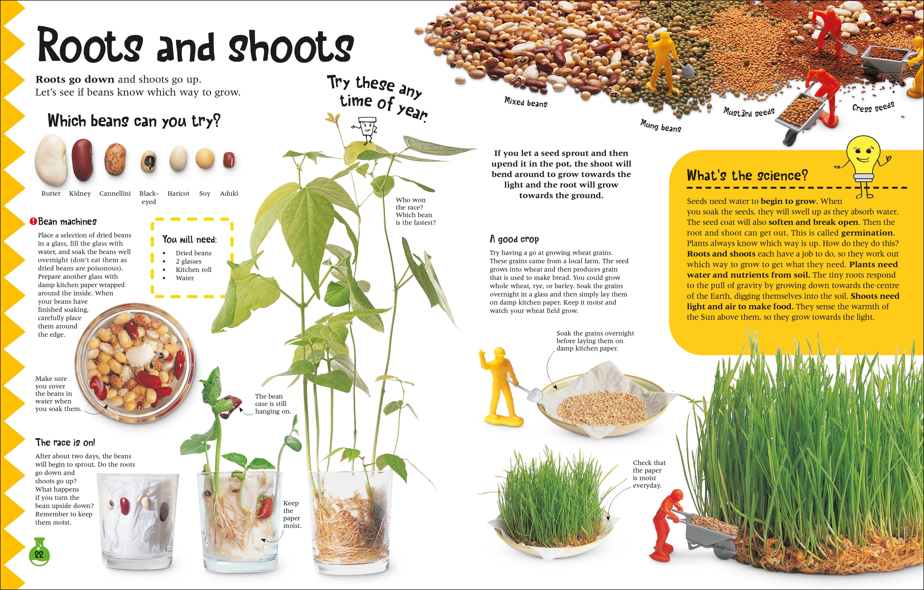 The Simple Science Activity Book