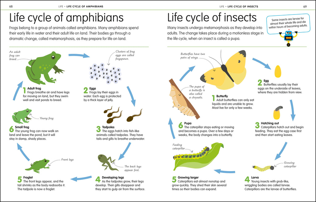 How to Be Good at Science, Technology, and Engineering