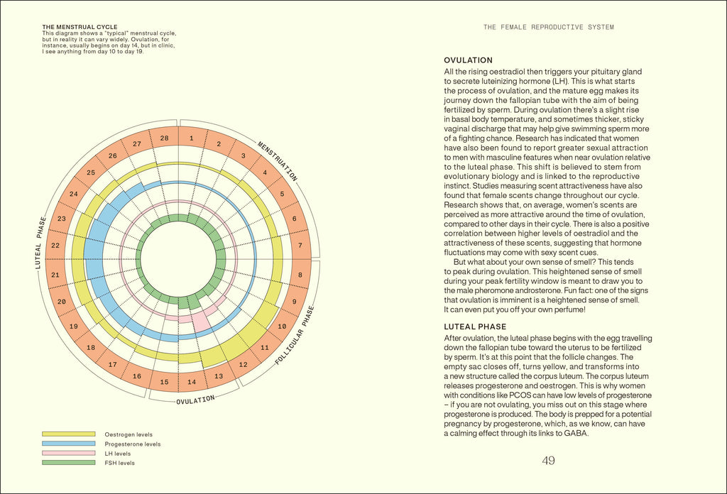 Everything I Know About Hormones