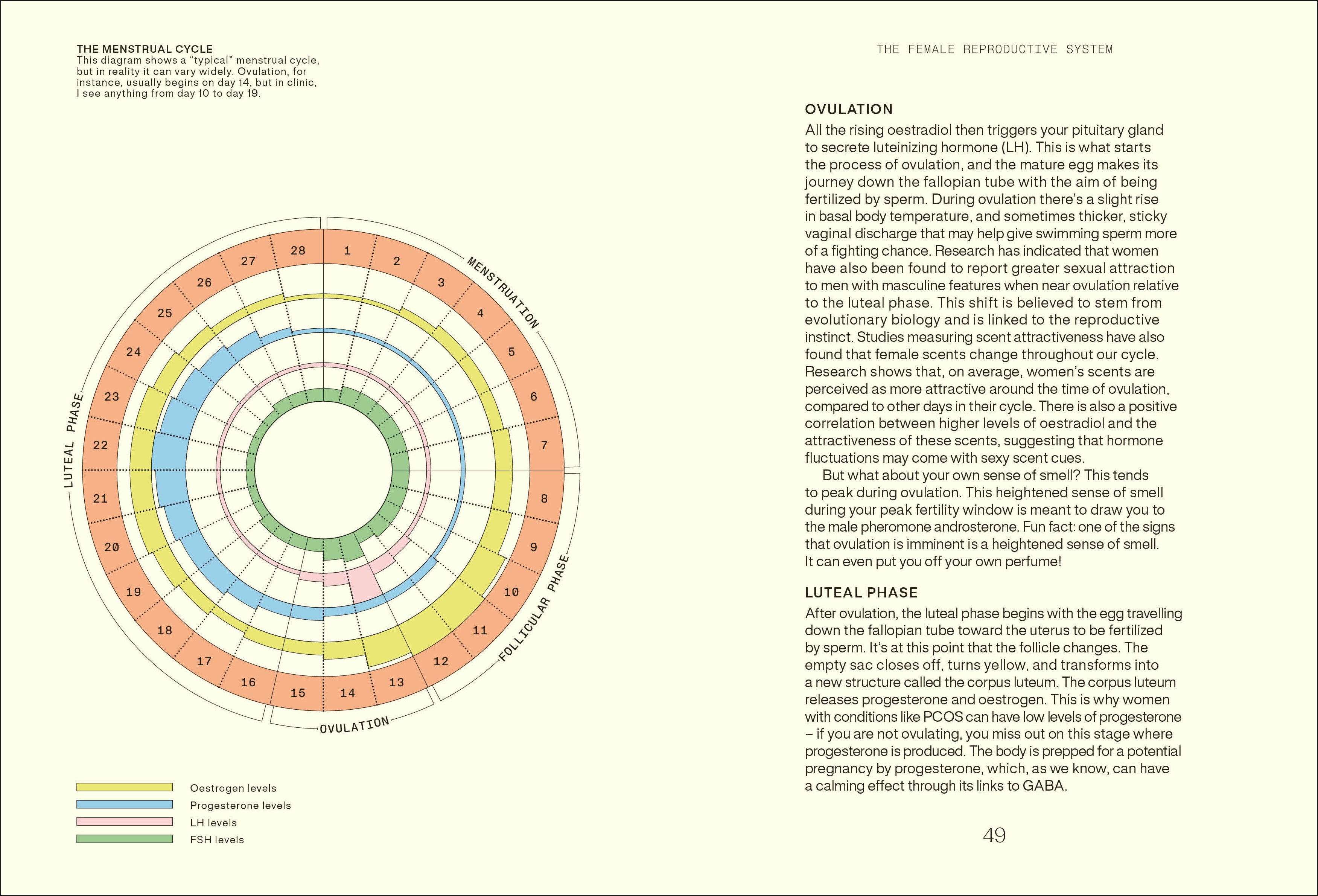 Everything I Know About Hormones