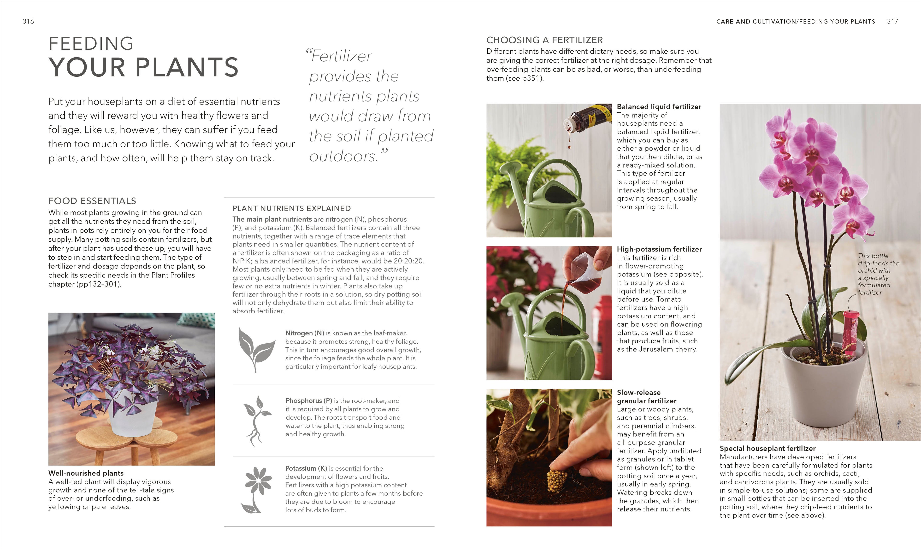 best house plant care book Houseplant – DK
