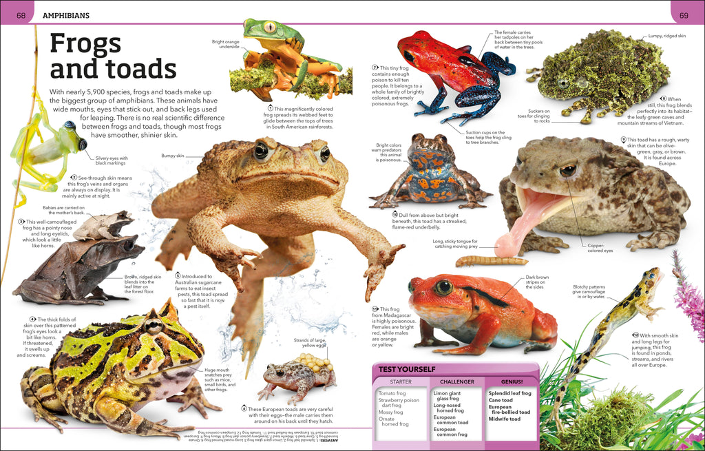 Animal Knowledge Genius!