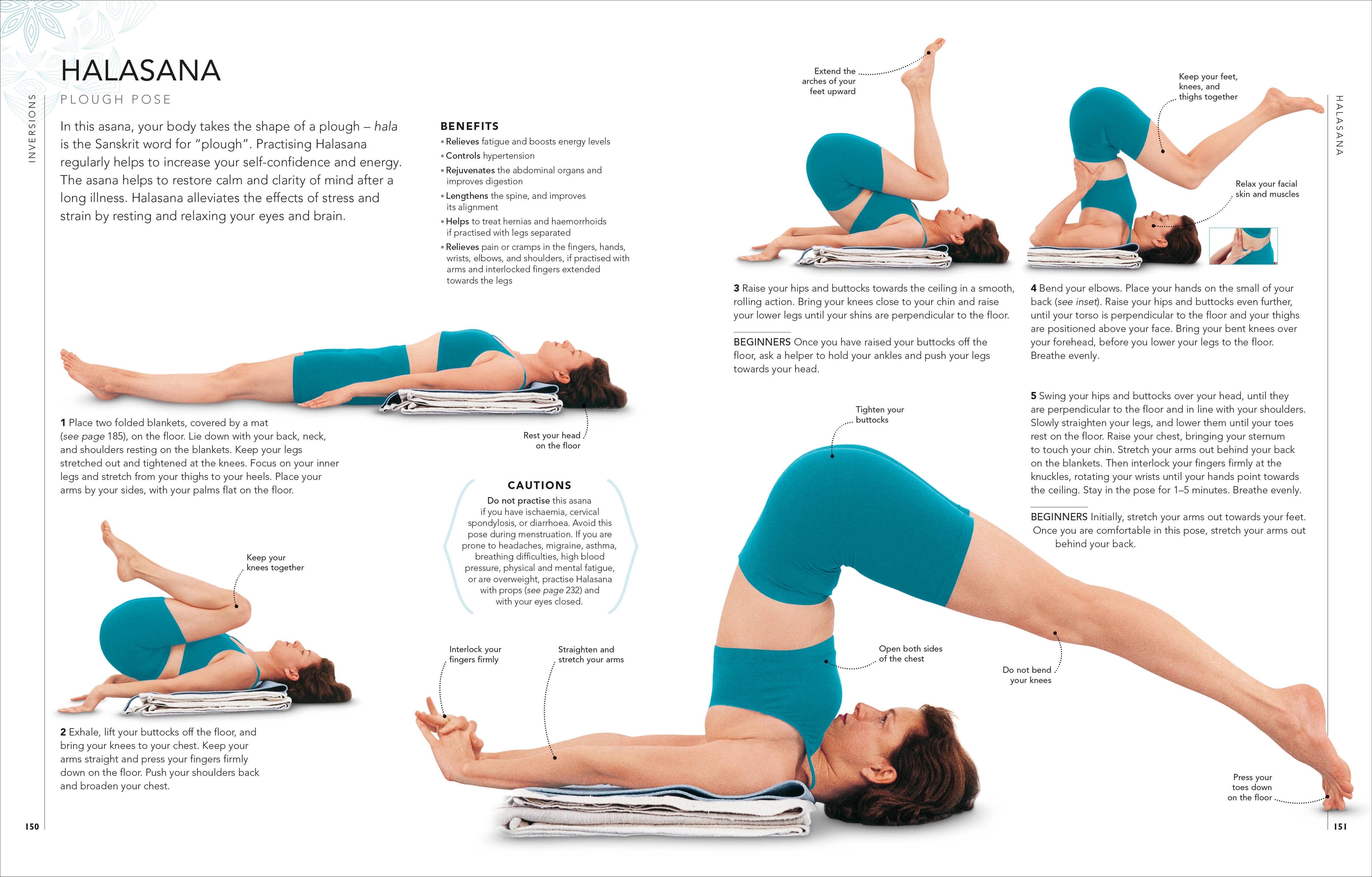 B.K.S. Iyengar Yoga The Path to Holistic Health – DK