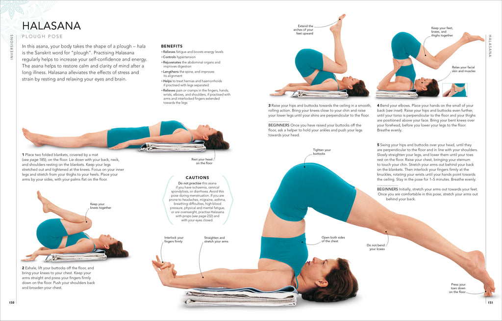 B.K.S. Iyengar Yoga The Path to Holistic Health