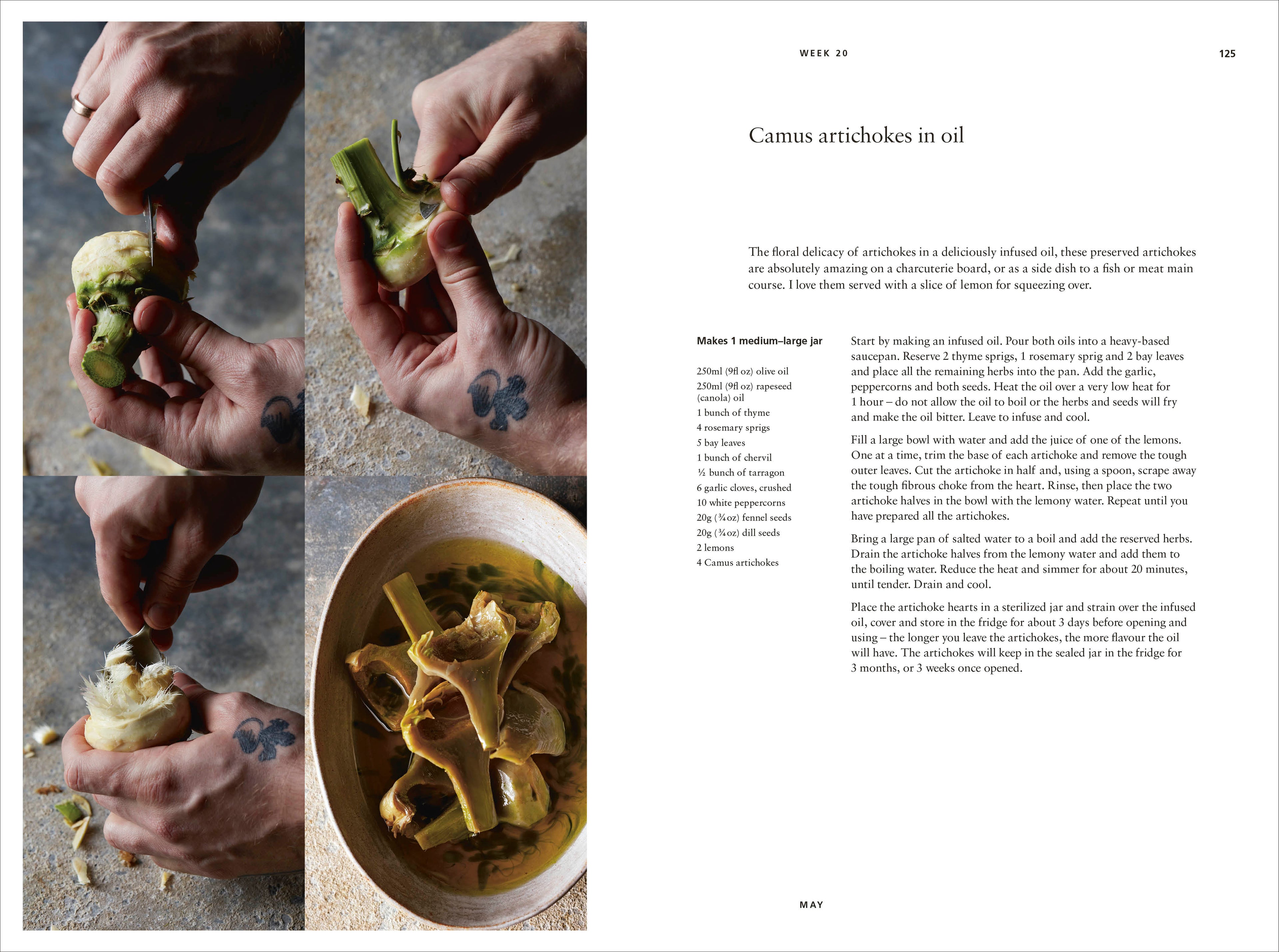 Turnips' Edible Almanac-Spread, Image, (PRHC, Design, Do, Not, Use)-4