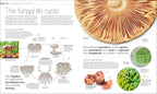 Plants and Fungi-Spread, Image, (PRHC, Design, Do, Not, Use)-2