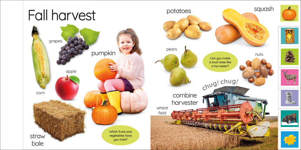 My First Seasons: Let's Learn About the Year!-Spread, Image, (PRHC, Design, Do, Not, Use)-6