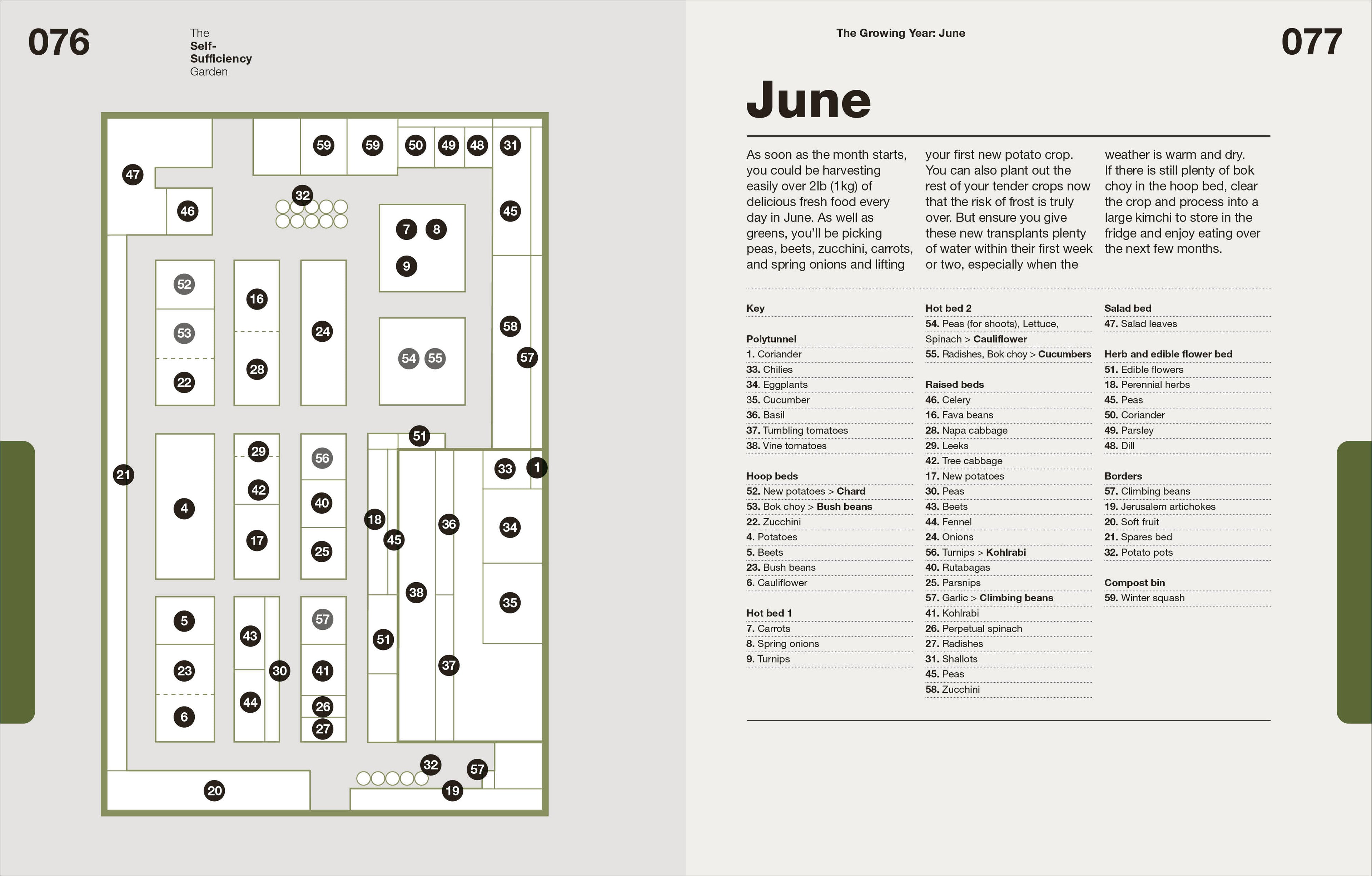 The Self-Sufficiency Garden-Spread, Image, (PRHC, Design, Do, Not, Use)-4