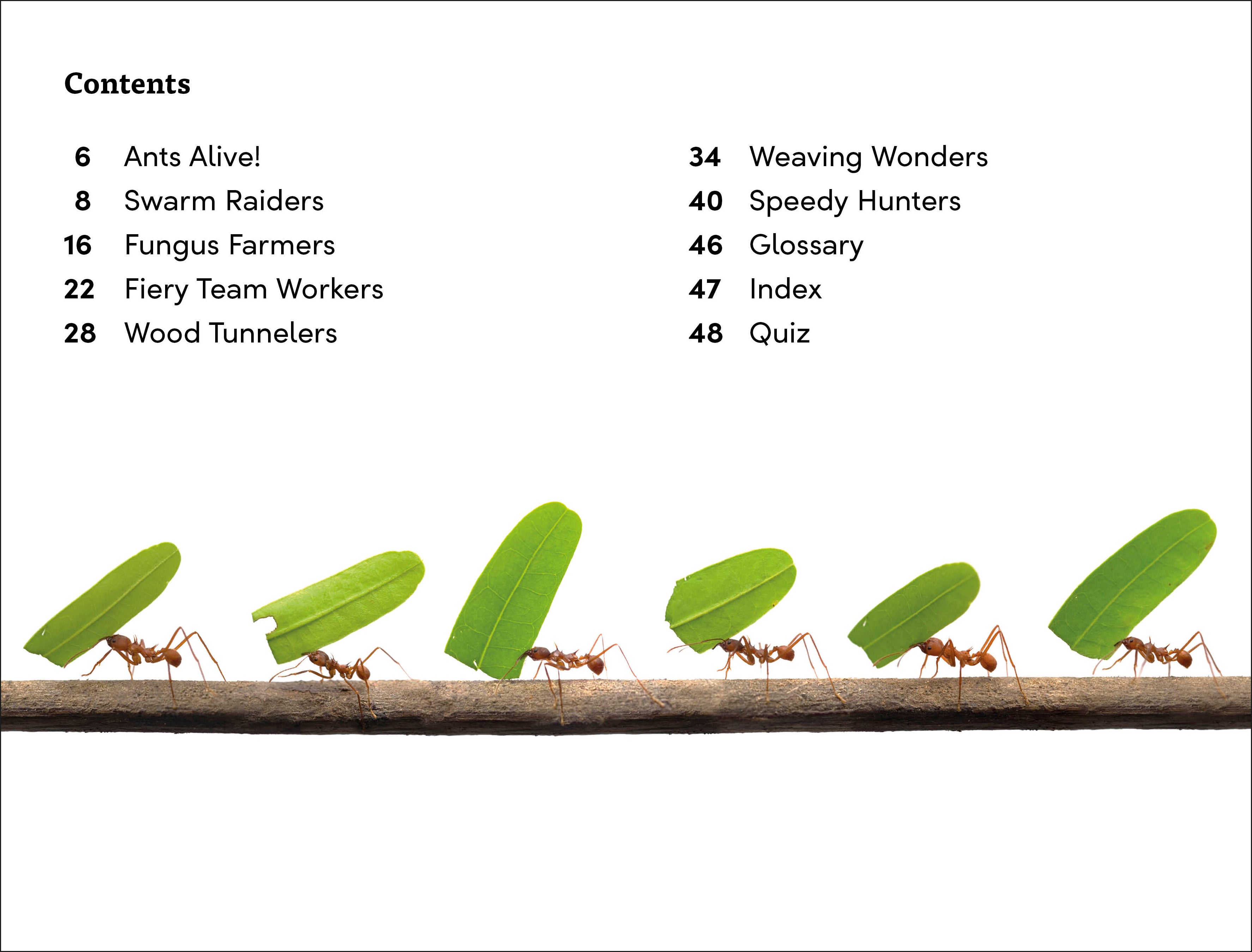 DK Super Readers Level 3 Ant Antics