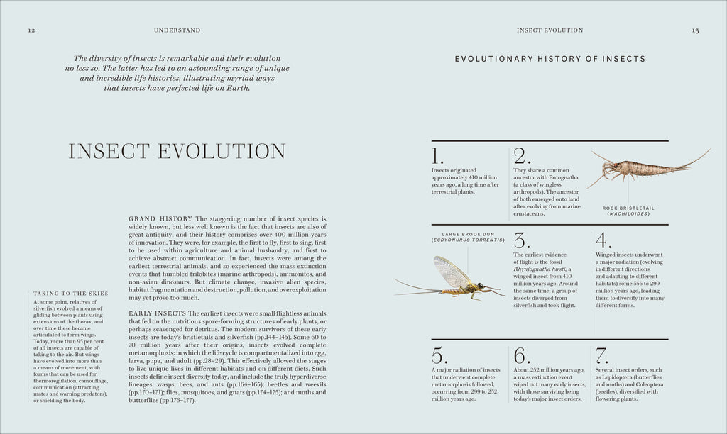 RES Insects-Spread, Image, (PRHC, Design, Do, Not, Use)-2