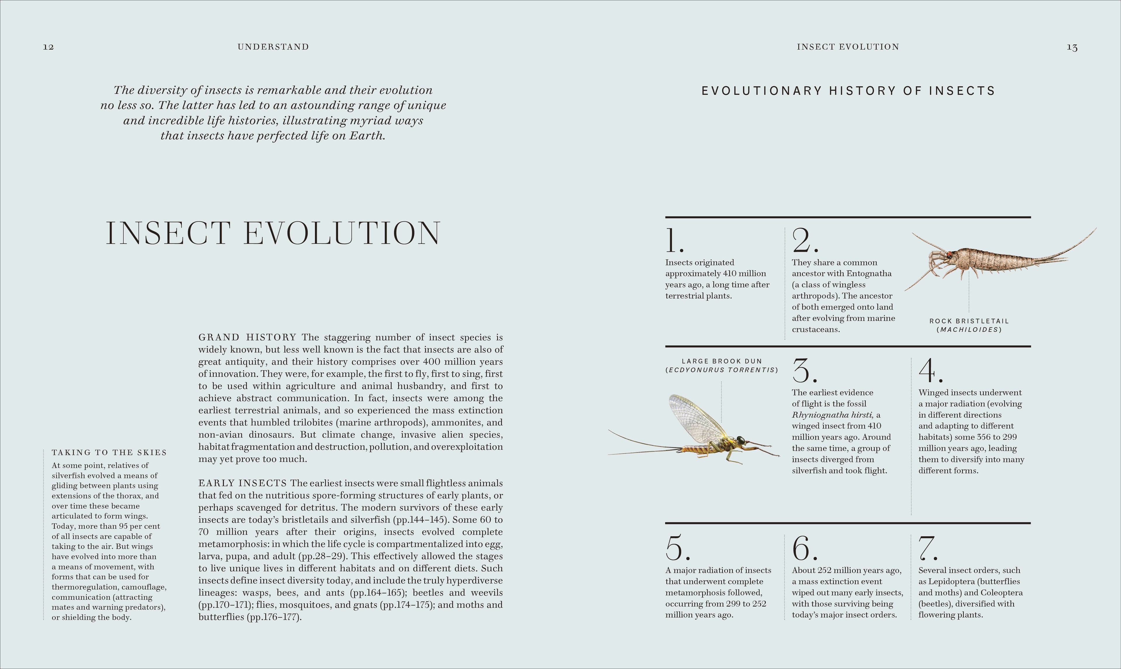 RES Insects-Spread, Image, (PRHC, Design, Do, Not, Use)-2