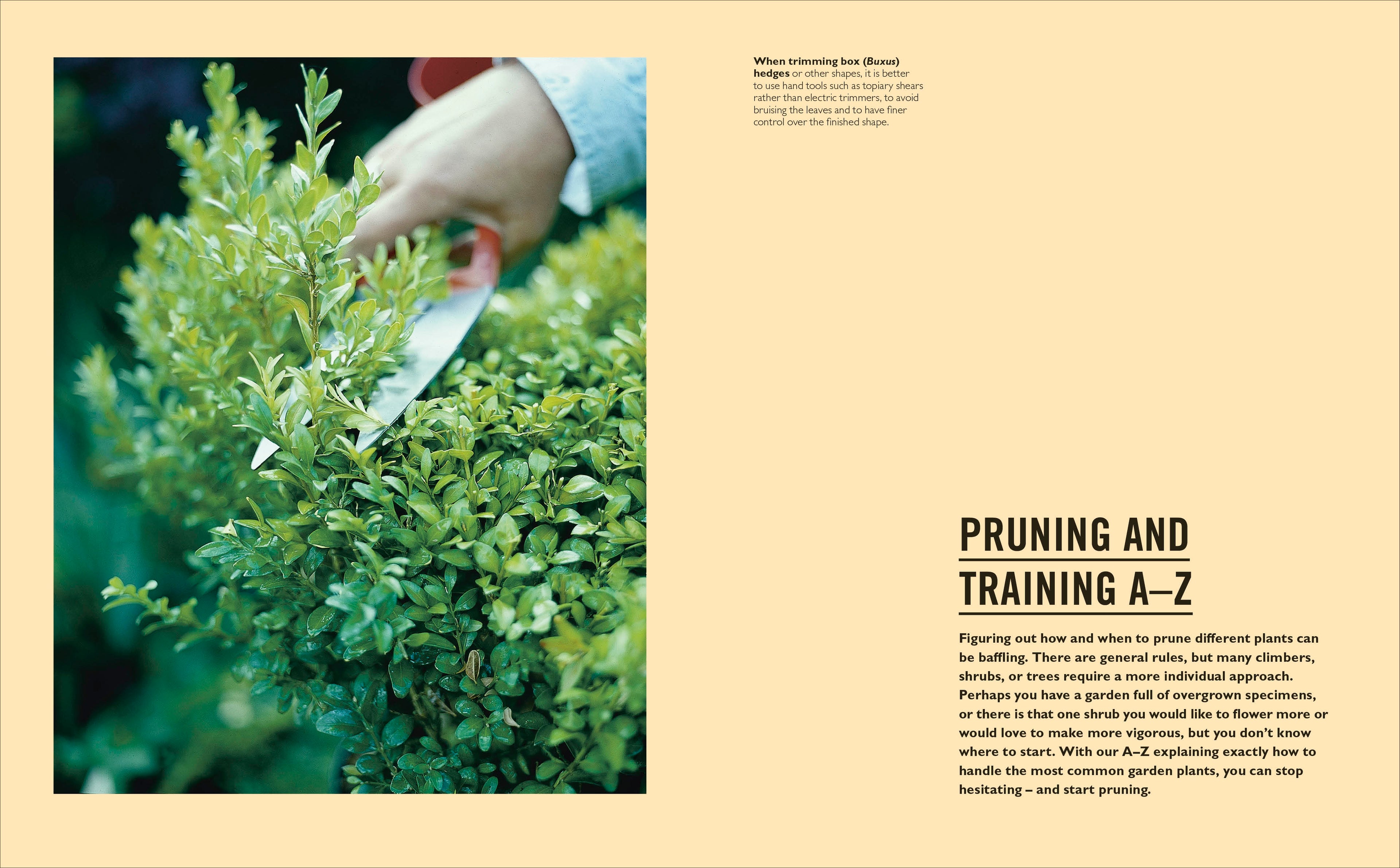 Grow Pruning & Training