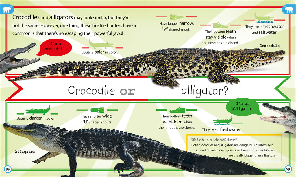 My Encyclopedia of Very Important Things Collection-image