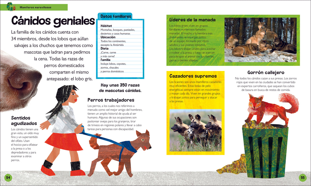 La oruga muy hambrienta Mi primera enciclopedia de animales (The Very Hungry Caterpillar's Very First Animal Encyclopedia)-Spread, Image, (PRHC, Design, Do, Not, Use)-3