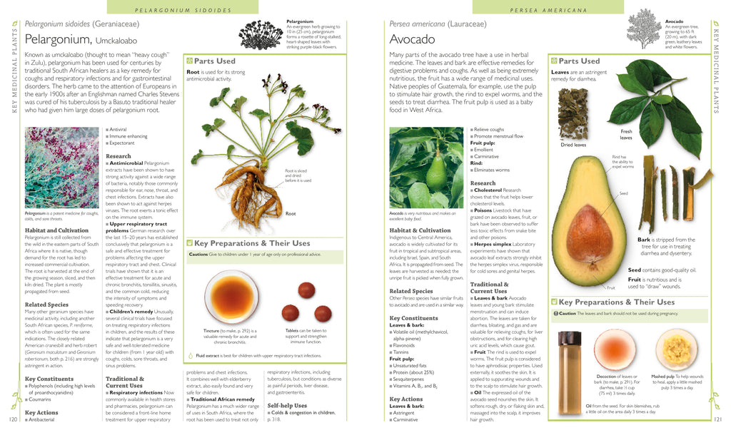 Encyclopedia of Herbal Medicine