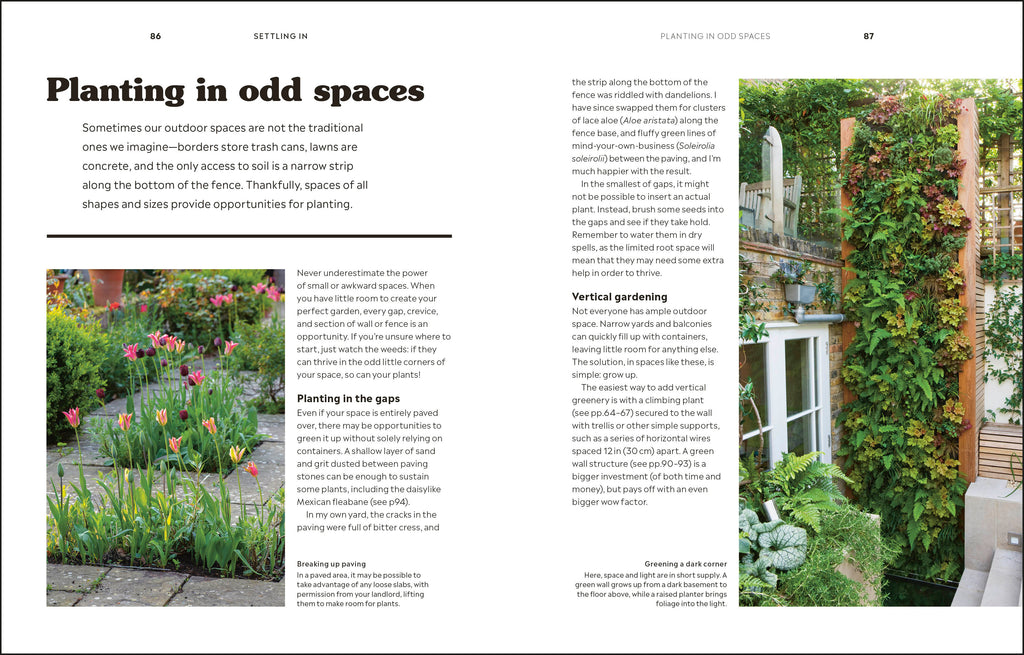 How to Garden When You Rent