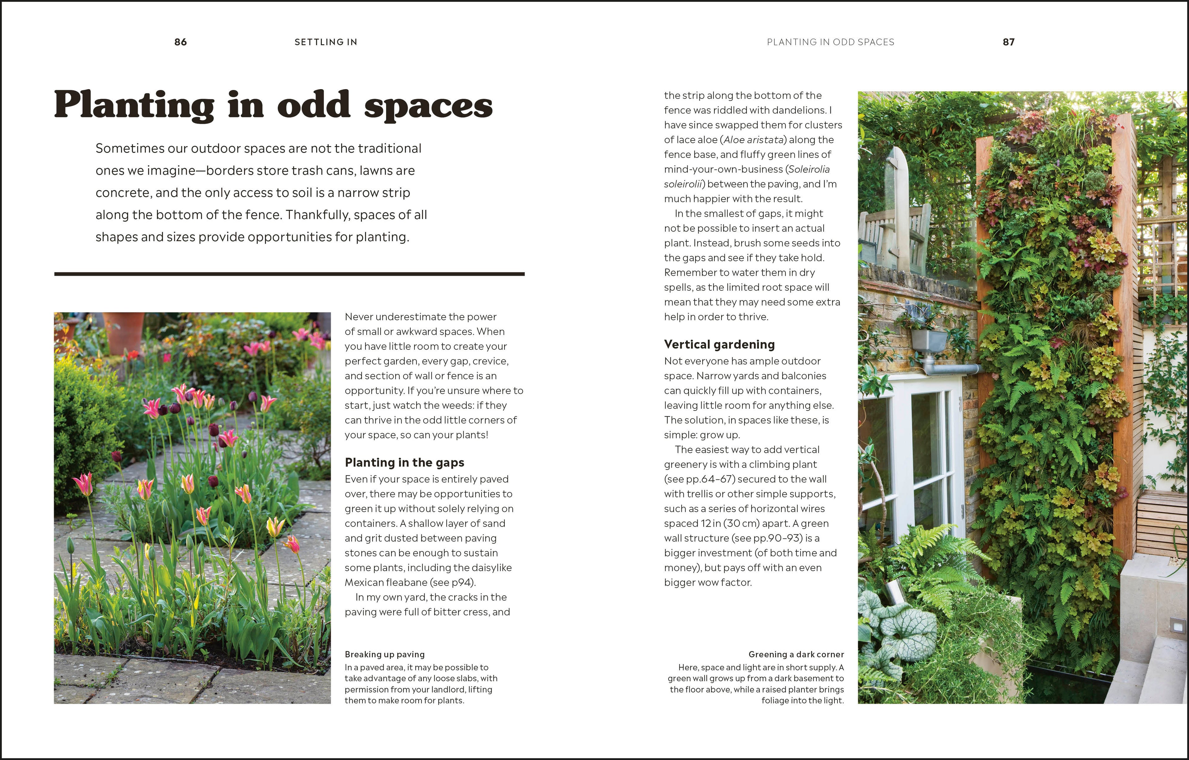 How to Garden When You Rent